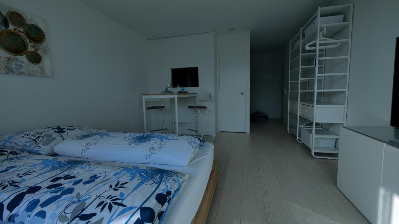 The Ultimate Studio Rhine View Apartment