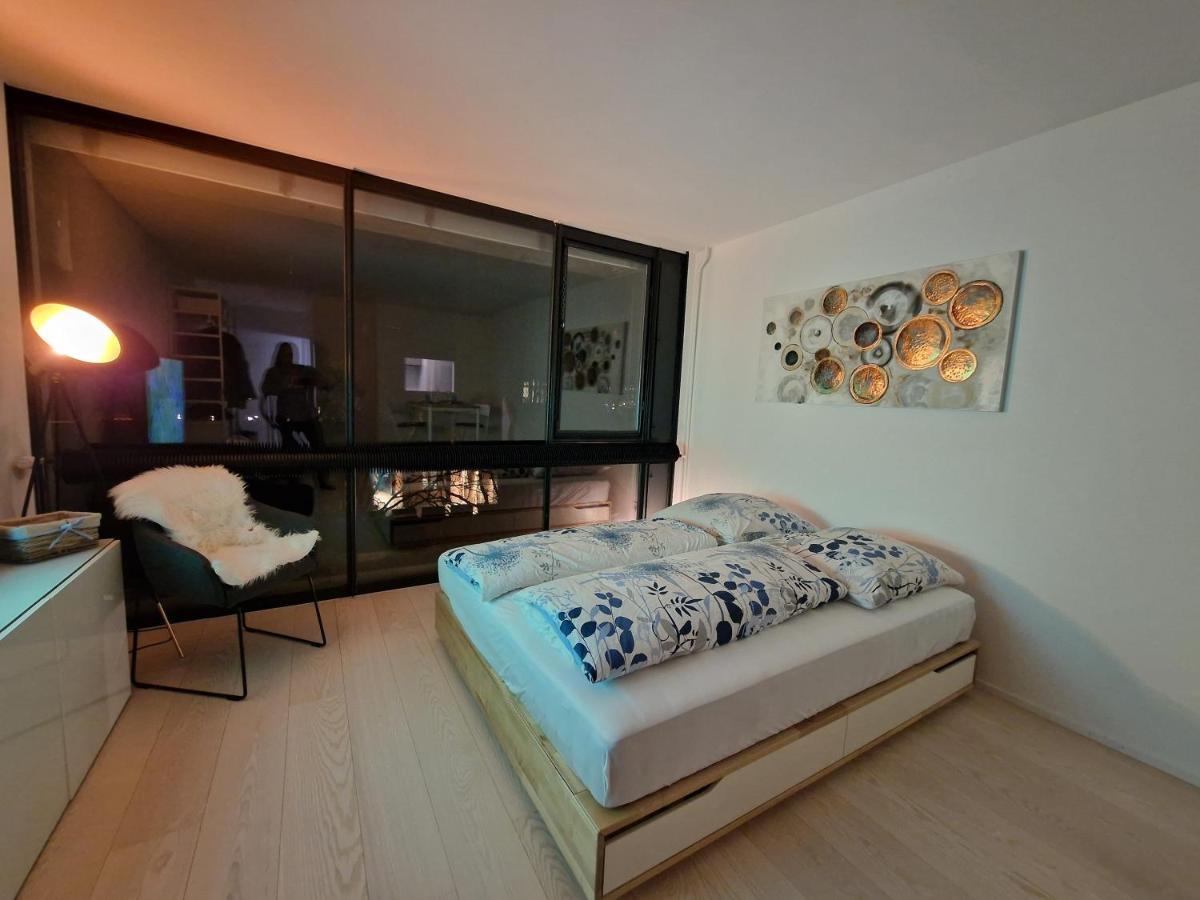 Apartment The Ultimate Studio Rhine View *