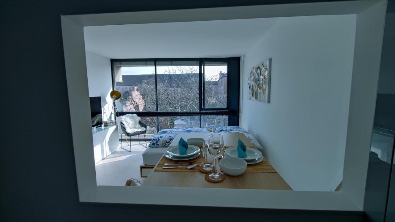 The Ultimate Studio Rhine View Apartment Basel